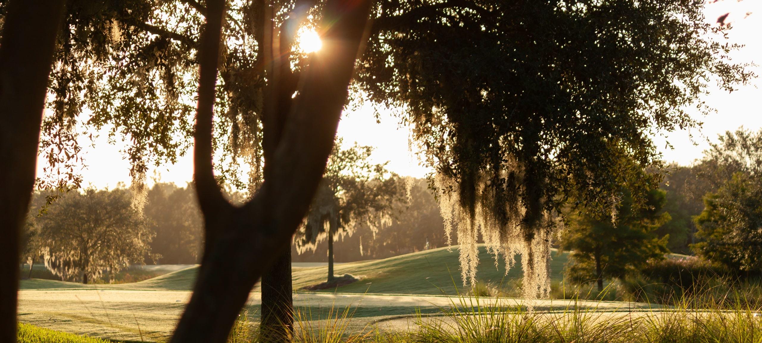 Sun through trees at golf course in Orlando, FL